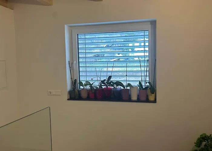 Seerestaurant & Hayat Pensionat Steindorf am Ossiacher See